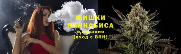 индика Магадан