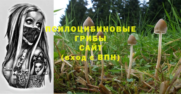 индика Магадан