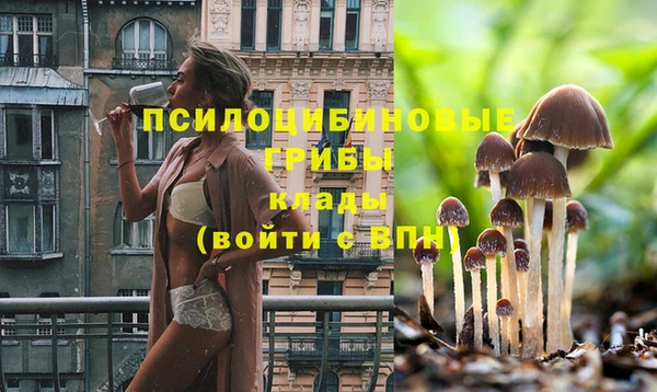 синтетический гашиш Нижневартовск