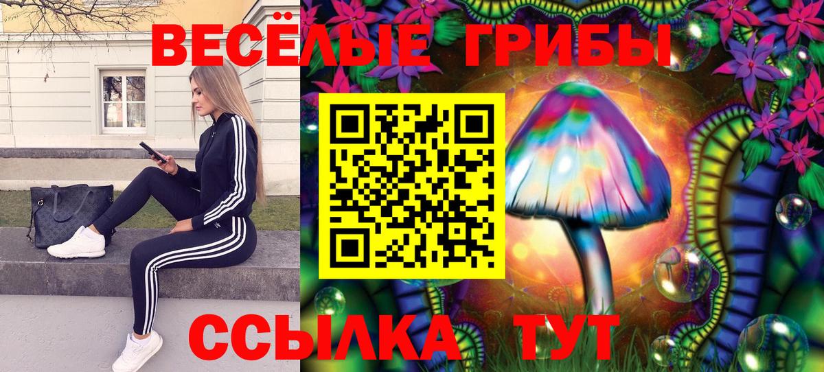 где купить наркоту  Галлюциногенные грибы мицелий  Павлово  Вход с VPN  Галлюциногенные грибы мицелий 