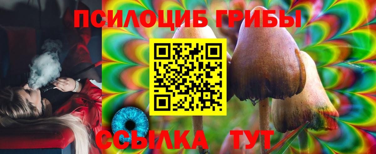 Псилоцибиновые грибы MAGIC MUSHROOMS  купить закладку  Павлово 